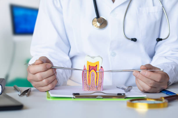 Best Emergency Dental Care for Broken or Chipped Teeth in Tichigan, WI